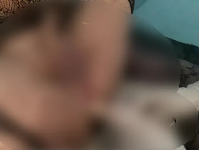 Die Sissy wird 2x zum Spritzen gebracht - Arschsissy69 Anal Video