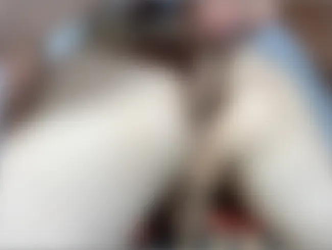 Trainer fickt einen jungen Fußballspieler nach einem Spiel - Artem_Suchkov20 Anal Video