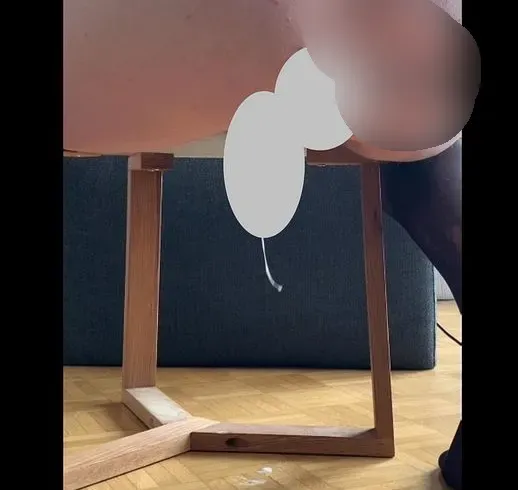 Maschinefick lässt mich so geil kommen mit NS Happy End - Christian_AG Anal Video
