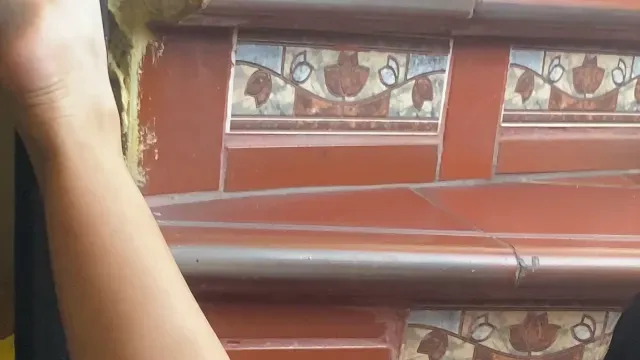 Nahaufnahme der Muschi. - Kourchase Anal Video
