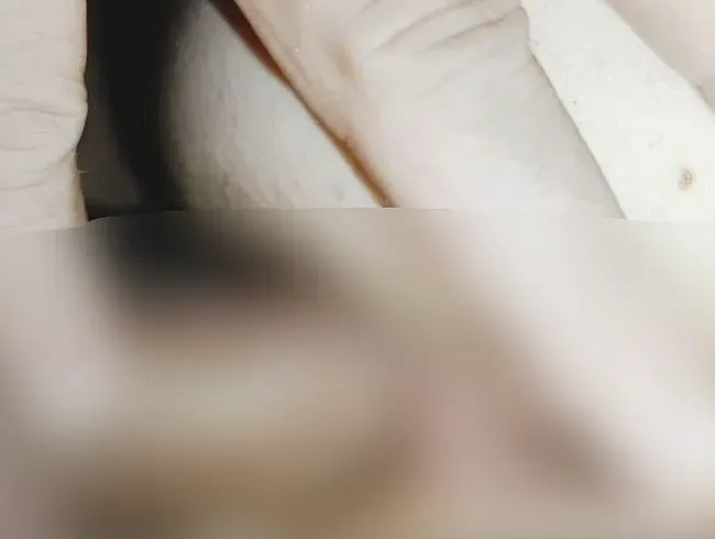 Intensiver Arschfick mit sabberndem Fötzchen, einem Handjob und XXL Ladung! - Prinzipessa93 Anal Video