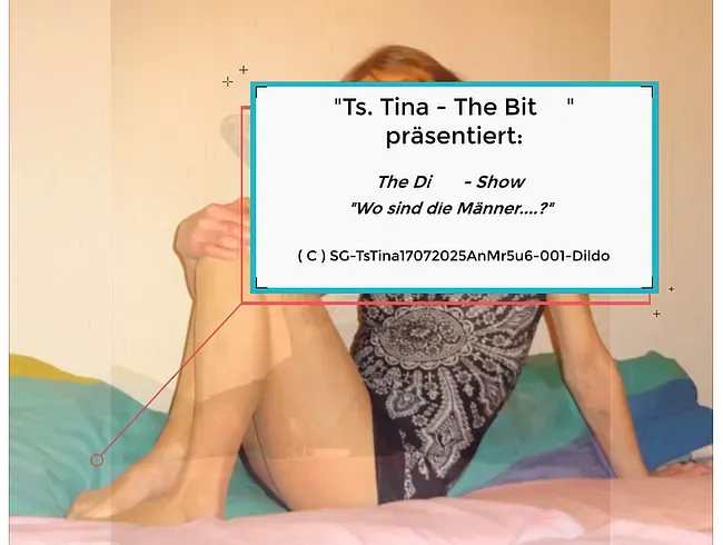 Ts Tina - The Bitch präsentiert: "The Dildo - Show" - TsTinaTheBitch Anal Video